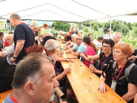 Pomlad v prleških goricah 2017 128